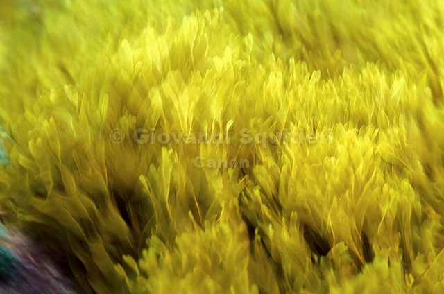 bluta0023.jpg