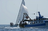 vj6h6777