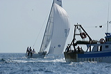 vj6h6778