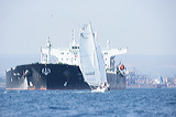 vj6h6794