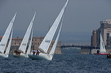 vj6h7233