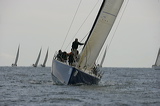 _j6g9619