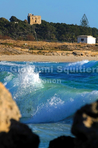 dsc_0074.jpg