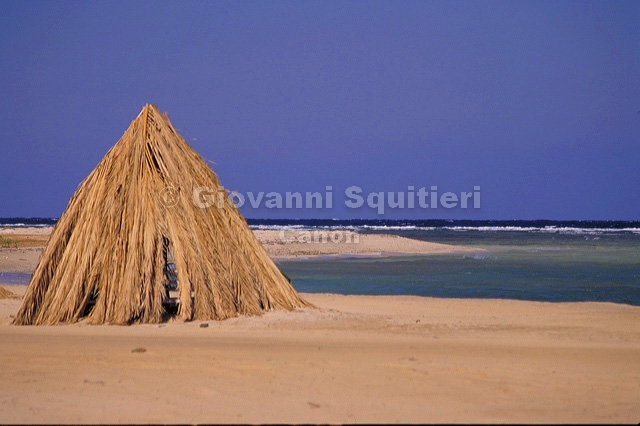 img0004.jpg
