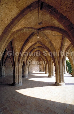 img0048.jpg