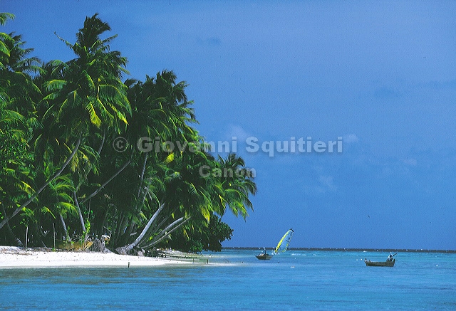 maldives22.jpg