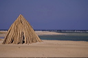 img0004