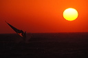 tramonti022