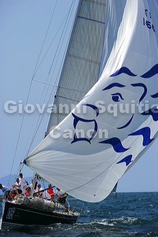 _rlxcup05_1371.jpg