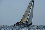 _rlxcup05_1493