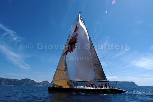 3_golfi_0092.jpg
