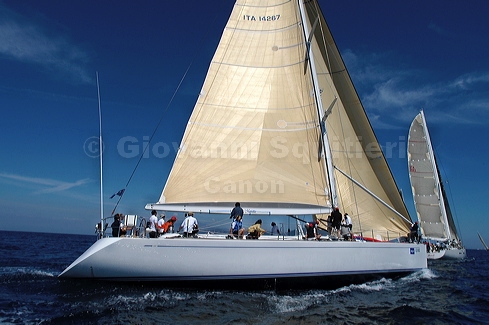 3_golfi_0107.jpg
