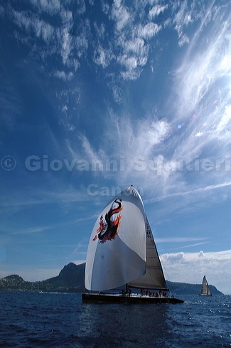 3_golfi_0152.jpg