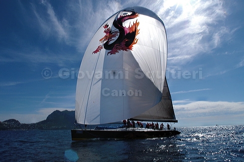 3_golfi_0157.jpg
