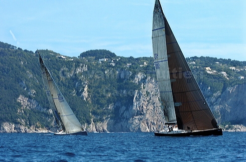 3_golfi_0245.jpg