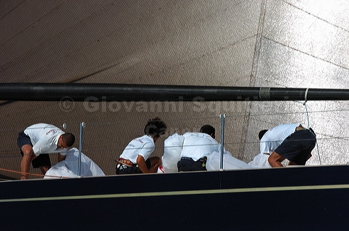 3_golfi_0403.jpg