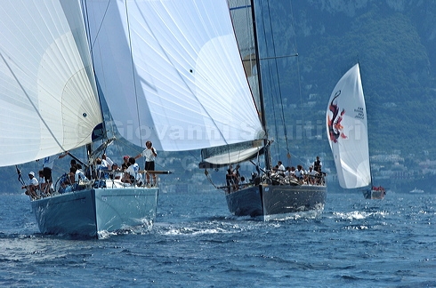 3_golfi_0510.jpg
