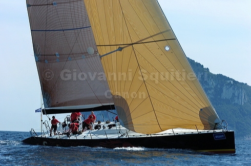 3_golfi_0576.jpg