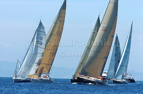 3_golfi_0705.jpg