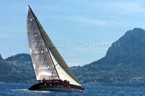 3_golfi_0778.jpg