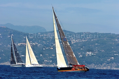 3_golfi_0808.jpg