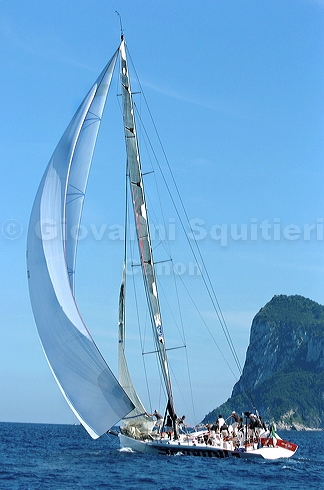 3_golfi_0845.jpg