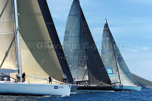 3_golfi_1048.jpg
