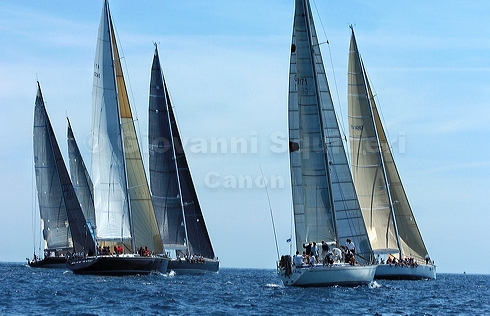 3_golfi_1058.jpg