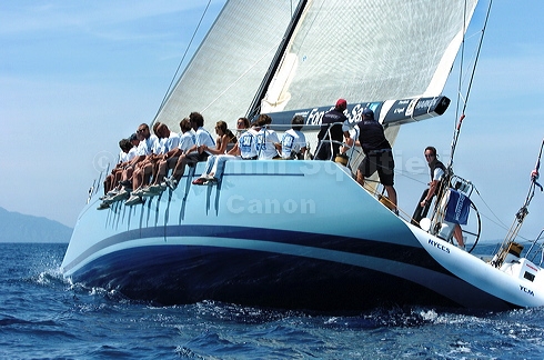 3_golfi_1128.jpg