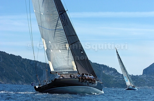 3_golfi_1372.jpg