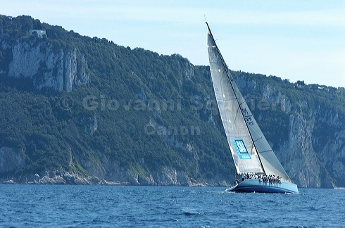 3_golfi_1385.jpg