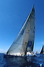 3_golfi_0055