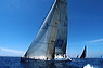 3_golfi_0059