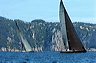 3_golfi_0245