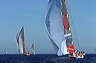 3_golfi_0381
