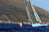3_golfi_0442