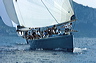 3_golfi_0522