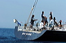 3_golfi_0534