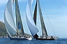 3_golfi_0540