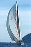 3_golfi_0590