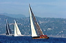3_golfi_0808