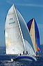 3_golfi_0890