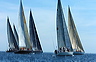 3_golfi_1058
