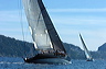 3_golfi_1372
