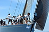 3_golfi_1557