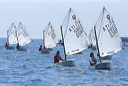 optmist2006_105