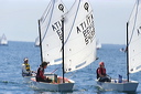 optmist2006_106