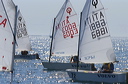 optmist2006_14