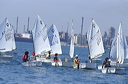optmist2006_19