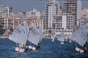 optmist2006_2